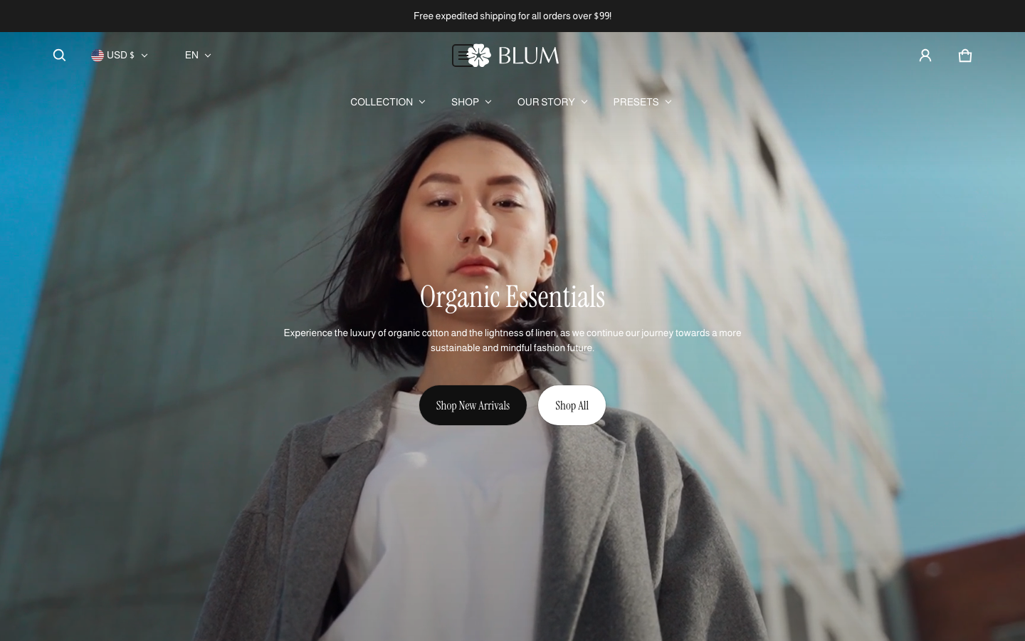 Icon before logo — Navi+ on the Blum Shopify theme