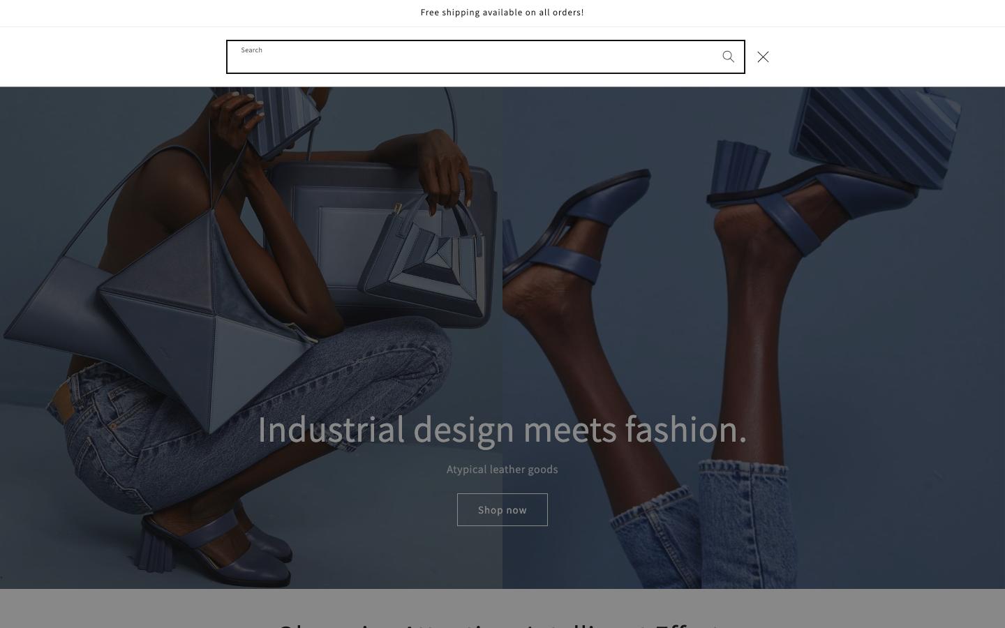 Search → panel opened — Navi+ on the Dawn Shopify theme