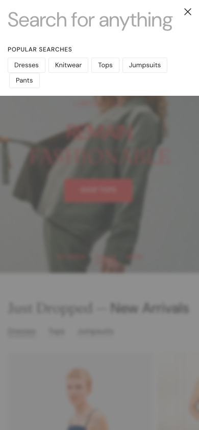 Search → panel opened — Navi+ on the Distinctive Shopify theme