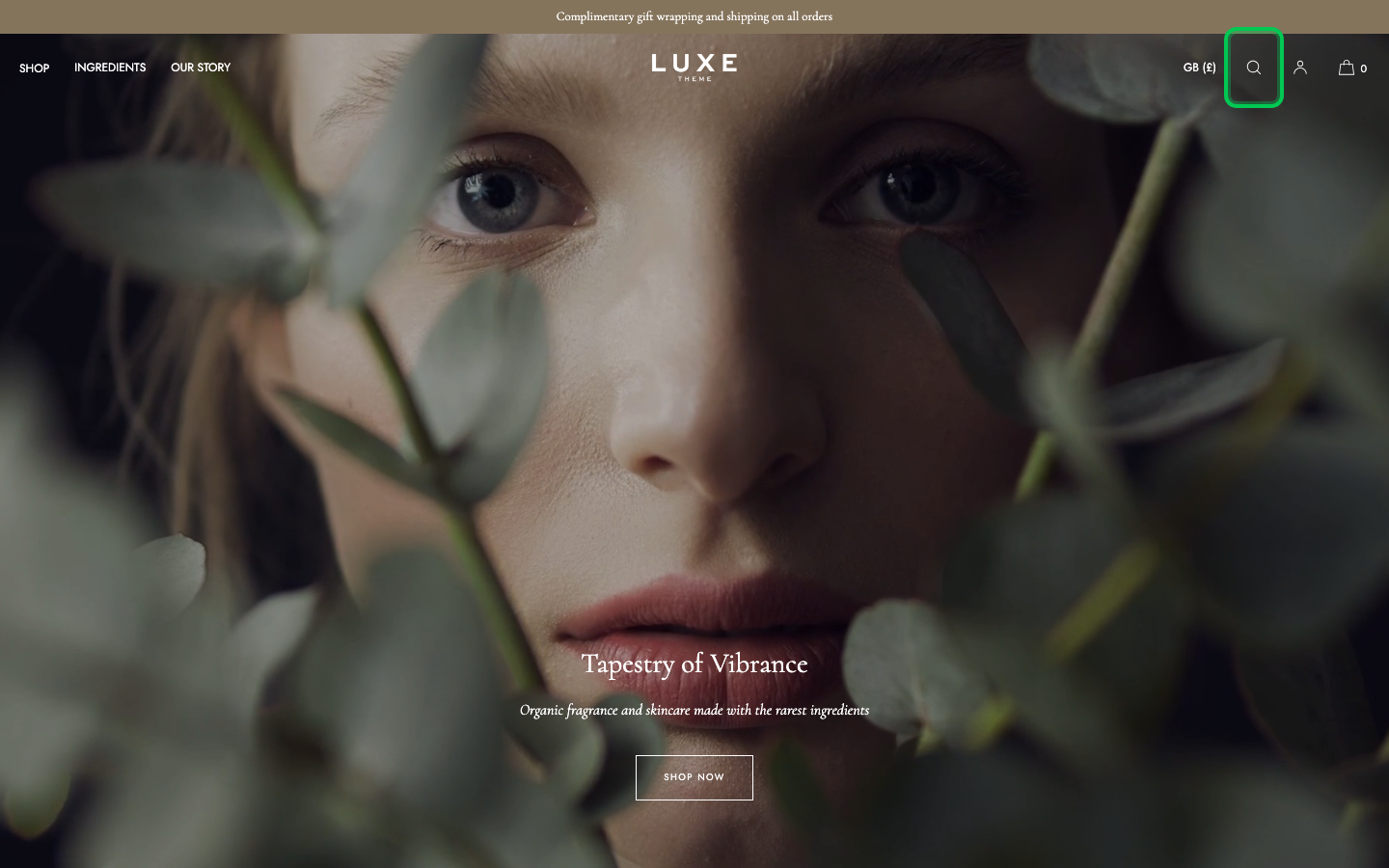 Search → panel opened — Navi+ on the Luxe Shopify theme