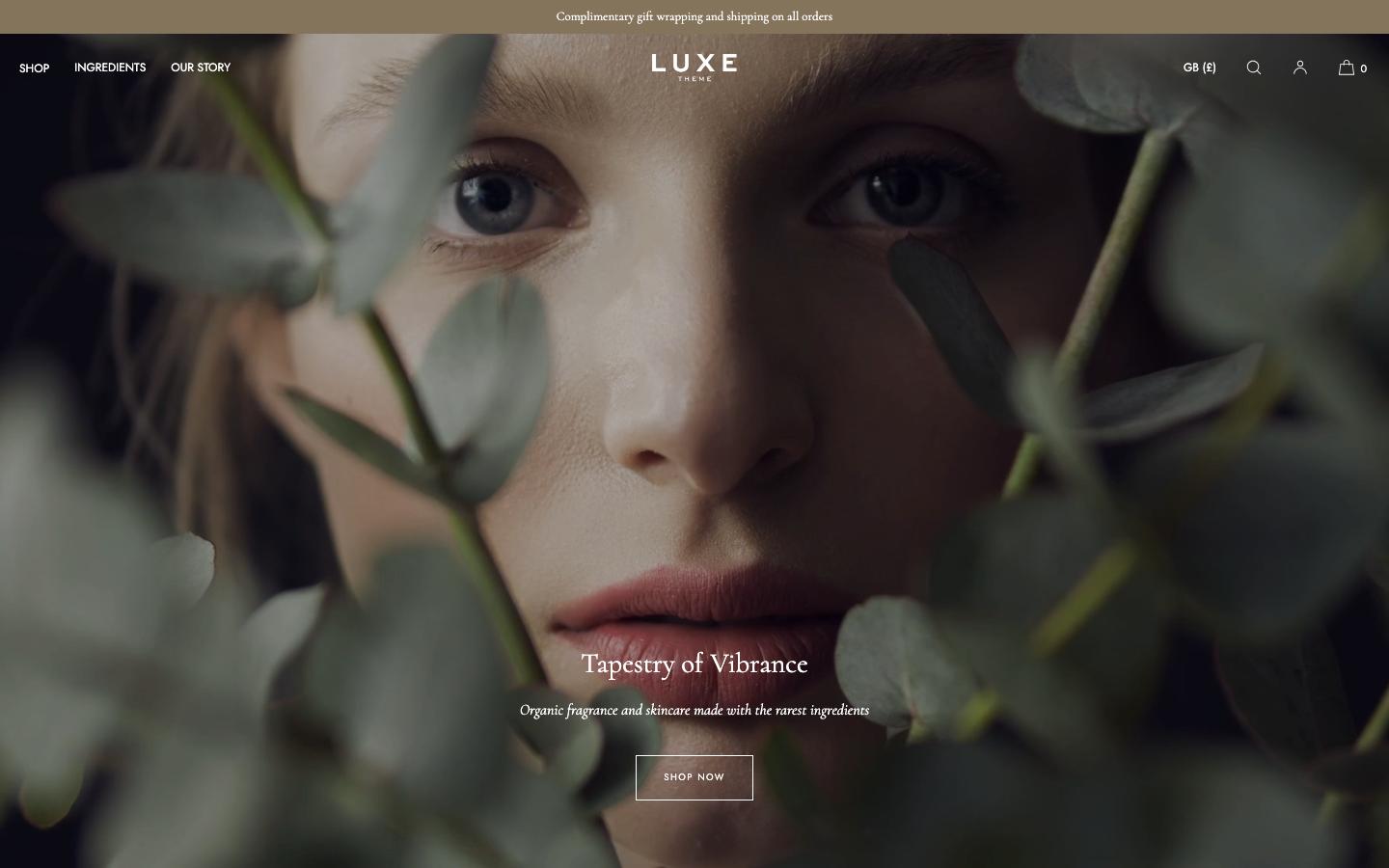 Icon before logo — Navi+ on the Luxe Shopify theme