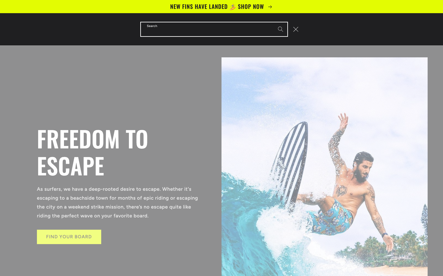 Search → panel opened — Navi+ on the Ride Shopify theme